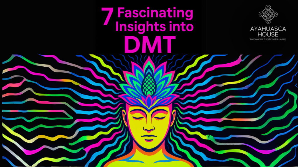 dmt